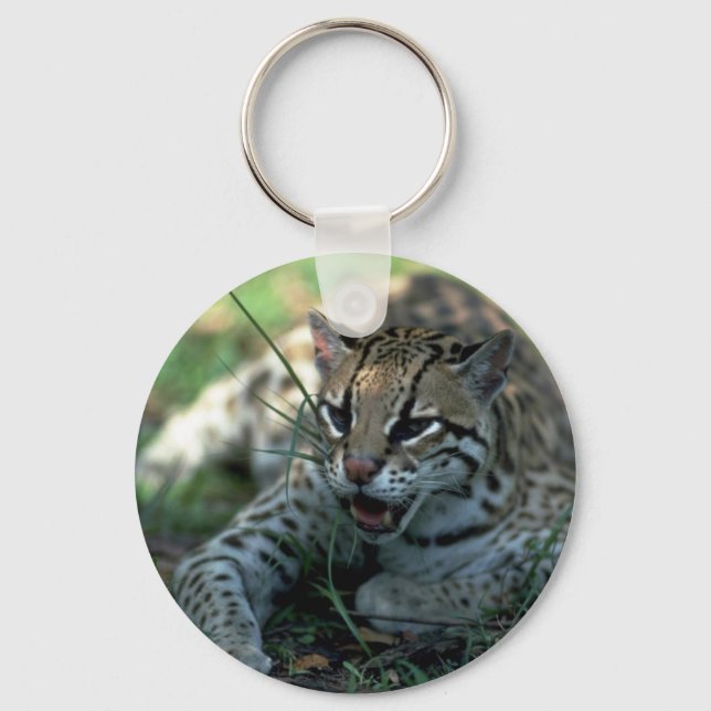 Ocelot lying down keychain (Front)