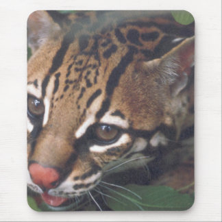 OCELOT MOUSE PAD