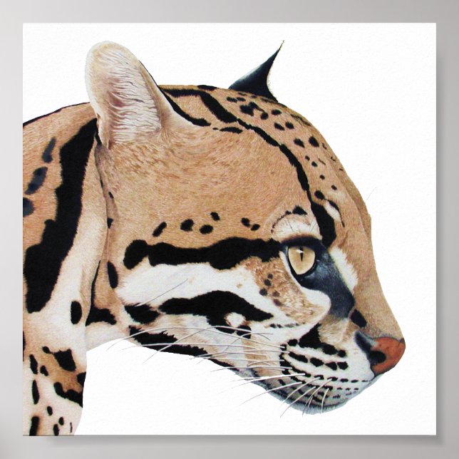 Ocelot Portrait Poster (Front)