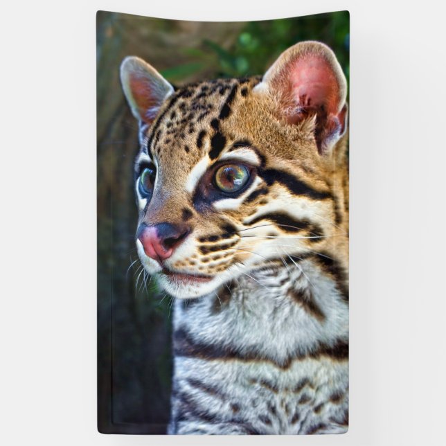 Ocelot - Wild Mini Jaguar Banner (Vertical)