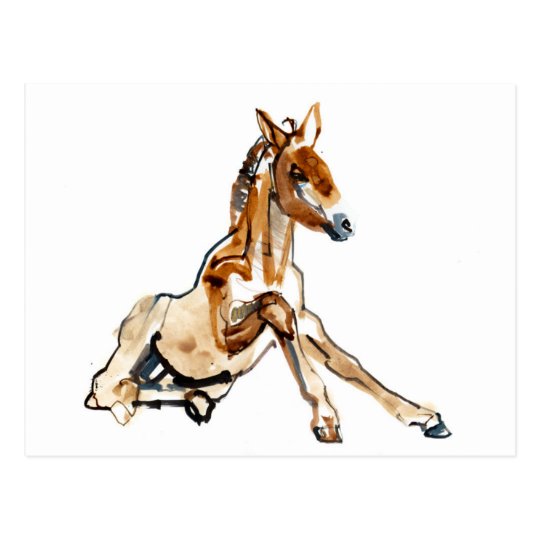 Ochre Foal Postcard