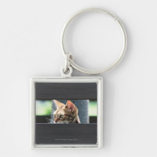 Ocicat 4 keychain
