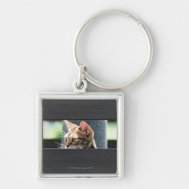 Ocicat 4 keychain (Front)