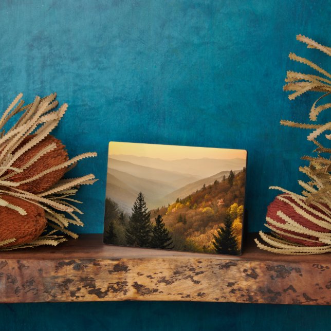 Oconaluftee Valley Overlook | North Carolina Plaque (Side)