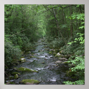 Oconuluftee River View Poster