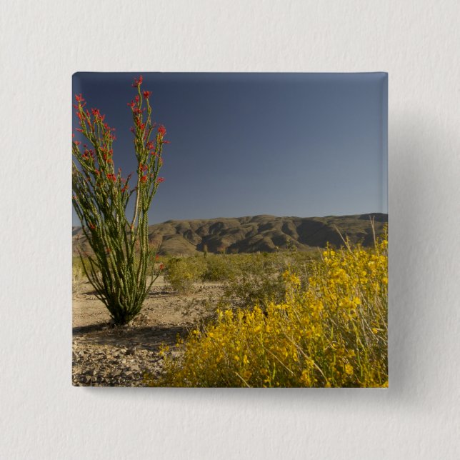 Ocotillo and desert senna 2 inch square button (Front)