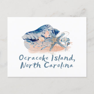 Ocracoke Island Seashells Postcard