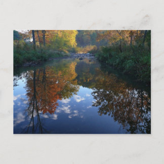 october at the stream postcard