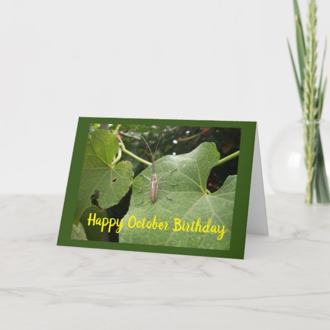 **OCTOBER BIRTHDAY WISHES** with A COOL BUG Card (Front)