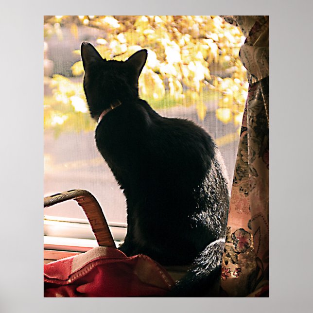 October Day Poster (Front)