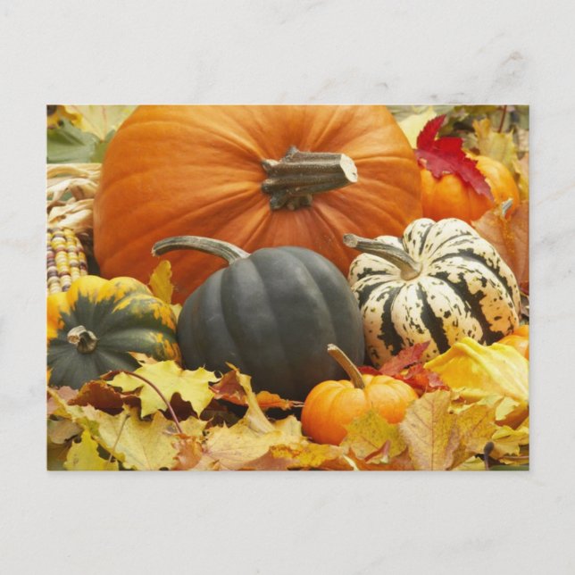 October Decoration Postcard (Front)