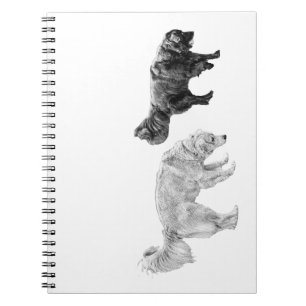 October Field Log, Two Noses Notebook