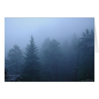 October Forest