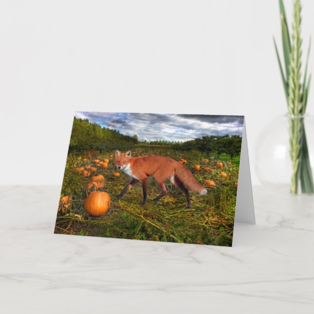 "October Fox" Greeting Card (Front)