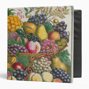 October, from 'Twelve Months of Fruits' Binder