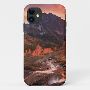 October Light on Headlight Basin iPhone 11 Case