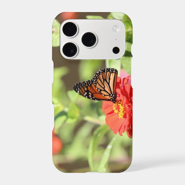 October Monarch (Back)
