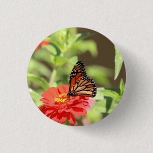 October Monarch 1 Inch Round Button