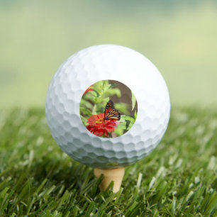 October Monarch  Golf Balls