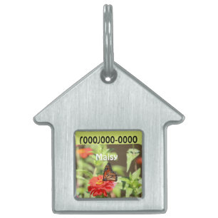 October Monarch Pet ID Tag