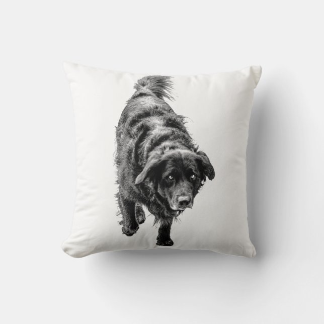 October Night Watch Throw Pillow (Front)