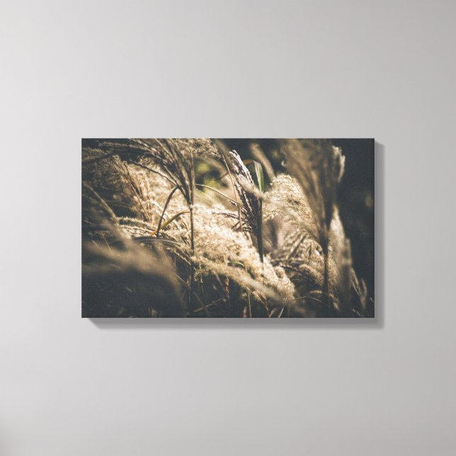 October plumes canvas print (Front)