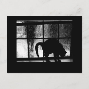 October Showers Cat Silhouette At Window 2 B&W Postcard