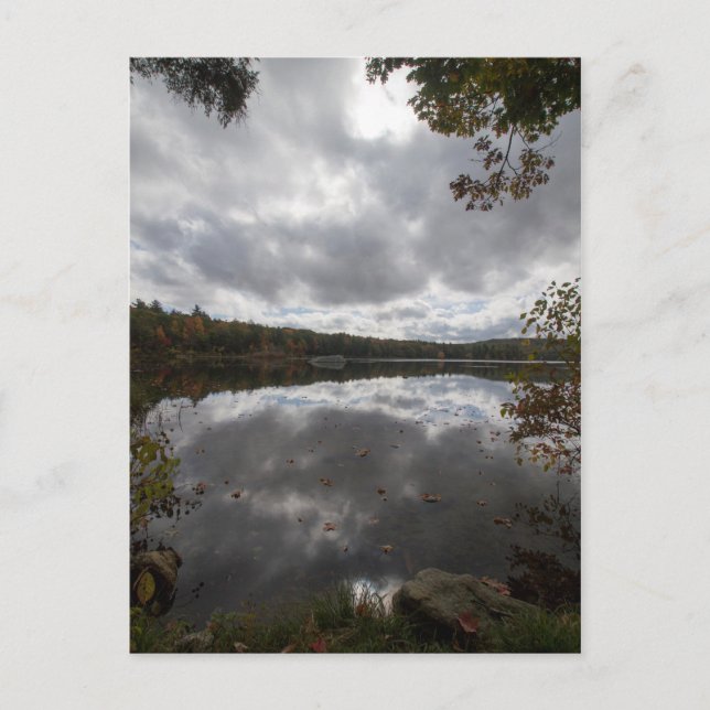 October Wind Blows Postcard (Front)
