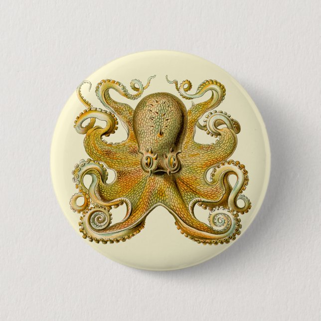 Octopus antique illustration sea monster 2 inch round button (Front)