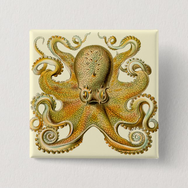 Octopus antique illustration sea monster 2 inch square button (Front)