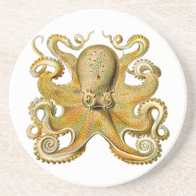 Octopus antique illustration sea monster coaster (Front)