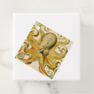 Octopus antique illustration sea monster favour tags