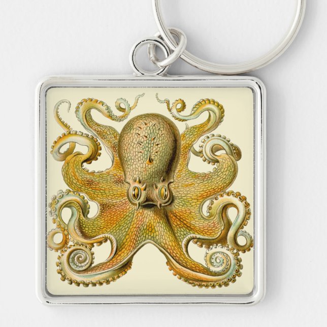Octopus antique illustration sea monster keychain (Front)