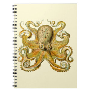 Octopus antique illustration sea monster notebook