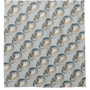 Octopus Argonaut, Vintage Marine Life Animals