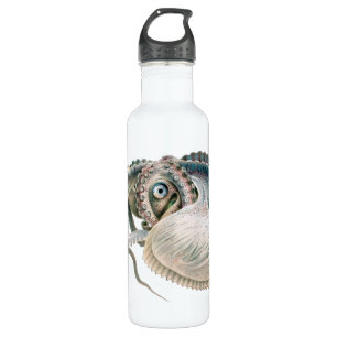 Octopus Argonaut, Vintage Marine Life Animals 710 Ml Water Bottle
