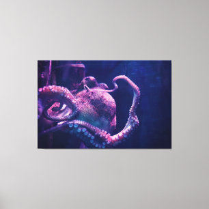 Octopus Canvas Print