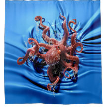 Octopus Climb