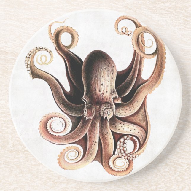 Octopus Coaster (Front)