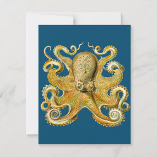 Octopus - Ernst Haeckel's Card