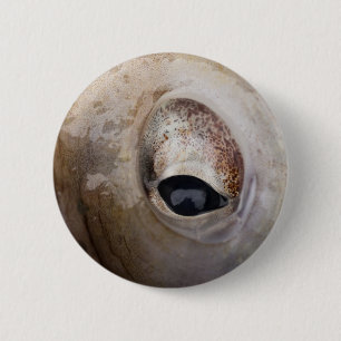 Octopus Eye 2 Inch Round Button