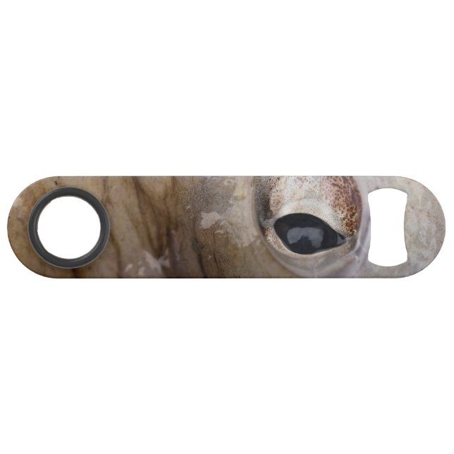 Octopus Eye Bar Key (Front (Horizontal))