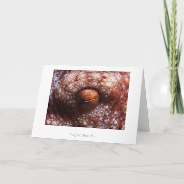 Octopus Eye Birthday Card (Front)