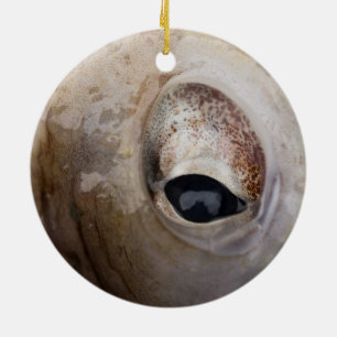 Octopus Eye Ceramic Ornament
