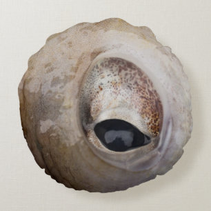 Octopus Eye Round Pillow