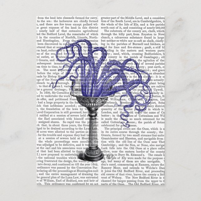 Octopus in Sink Postcard (Front)