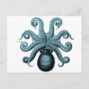 Octopus in Teal Postcard