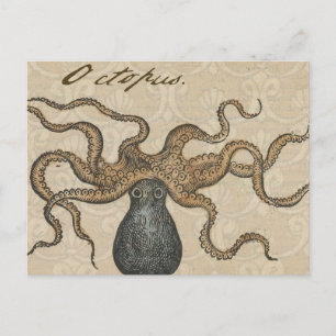 Octopus Kraken Antique Coastal Marine Wildlife Postcard