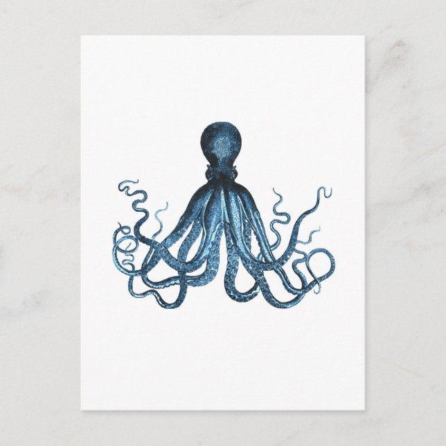 Octopus kraken nautical coastal ocean sea blue postcard (Front)