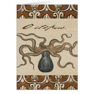 Octopus Kraken Vintage Illustration